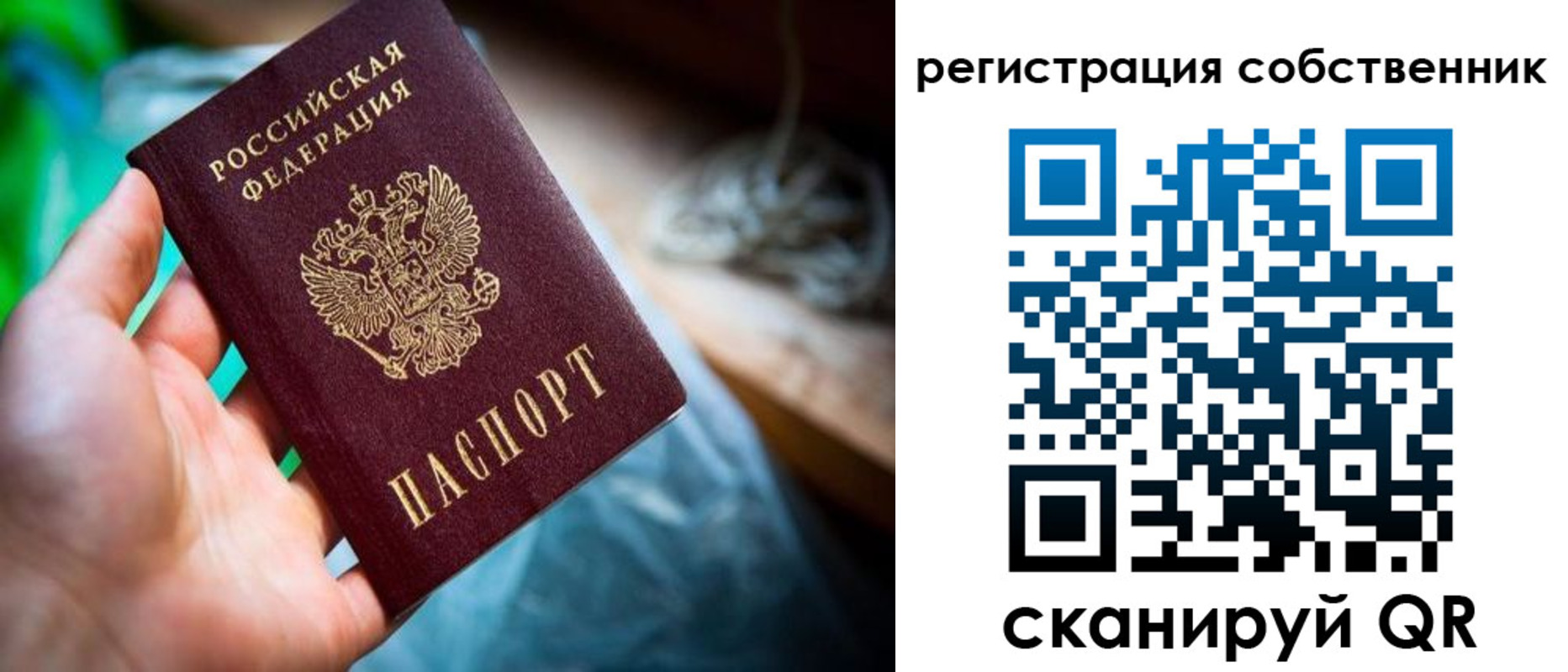прописка гарантия в Мензелинске